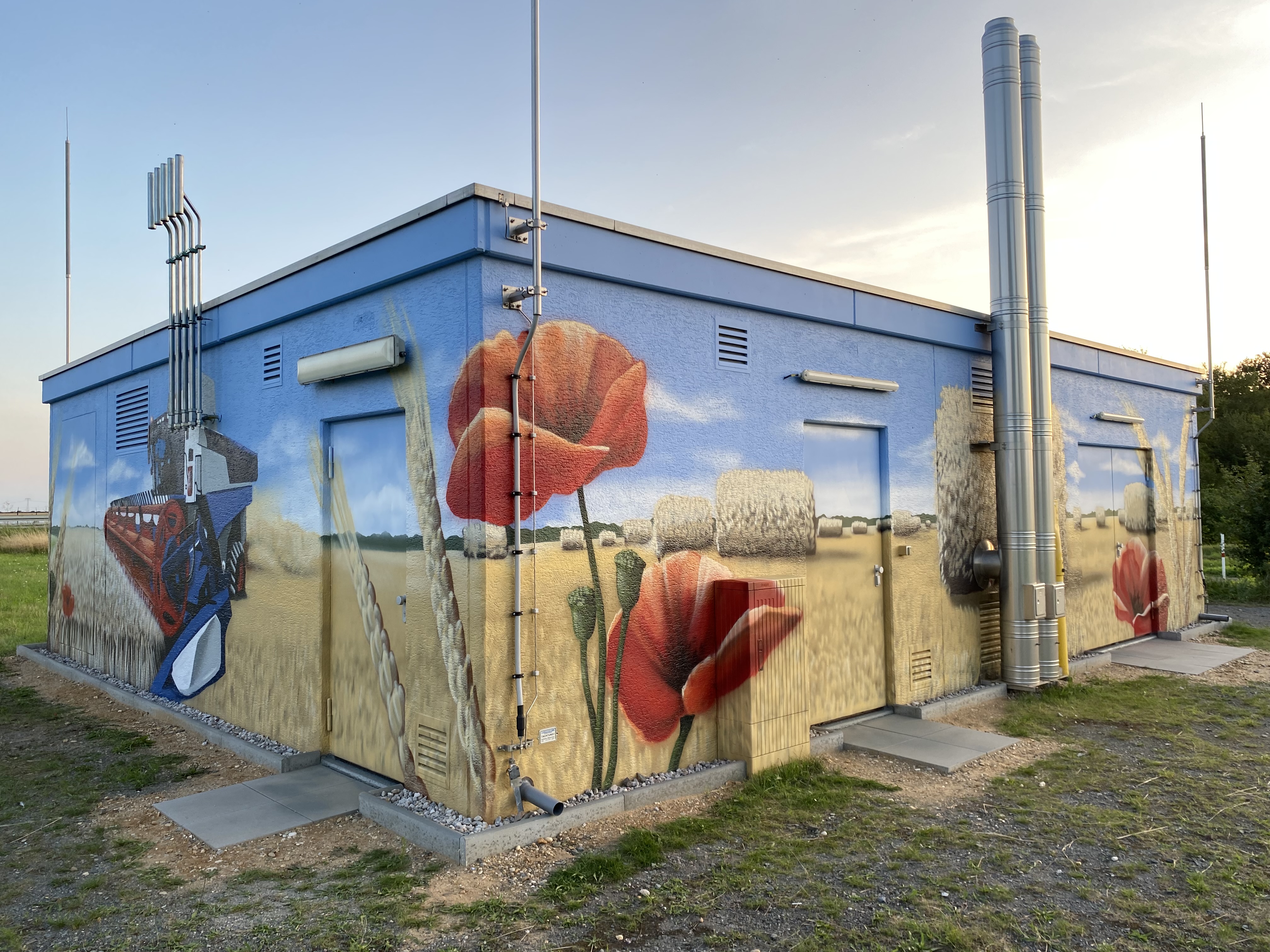 Graffiti, Mohnblume auf Anlage