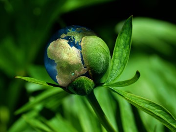 Klimawandel, Erde in Pflanze Klimawandel, Erde in Pflanze