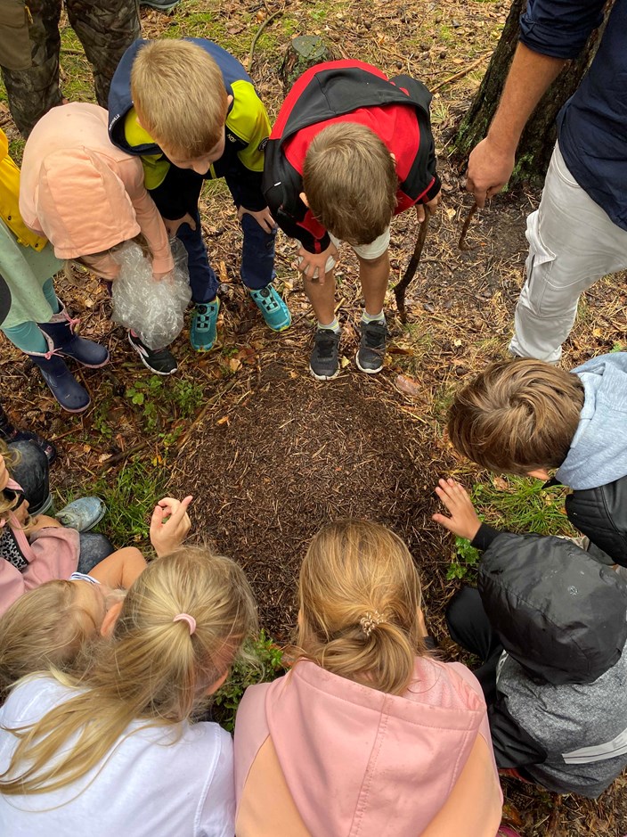 Natur zum Anfassen 2025 Natur zum Anfassen 2025