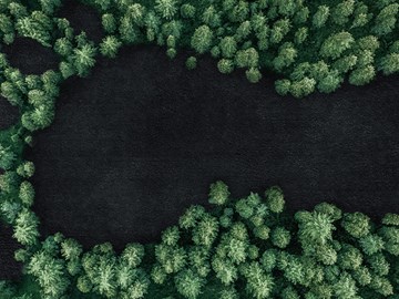 Nachhaltigkeit Bäume von oben Nachhaltigkeit Bäume von oben