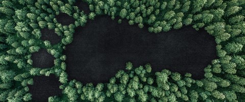 Nachhaltigkeit Bäume von oben Nachhaltigkeit Bäume von oben