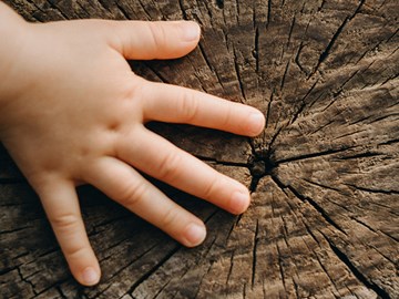 Nachhaltigkeit, Klimaschutz anpacken Nachhaltigkeit, Klimaschutz anpacken