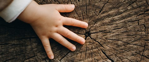 Nachhaltigkeit, Klimaschutz anpacken Nachhaltigkeit, Klimaschutz anpacken