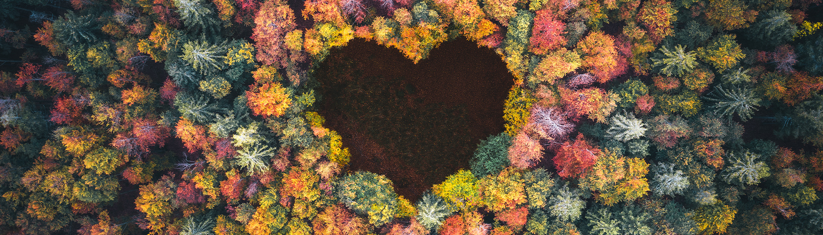 Nachhaltigkeit, Umweltschutz