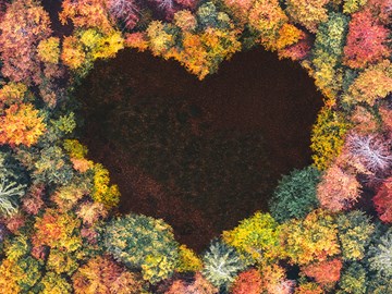 Nachhaltigkeit, Umweltschutz Nachhaltigkeit, Umweltschutz