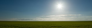 Sonne am blauen Himmel über grüner Wiese Sonne am blauen Himmel über grüner Wiese