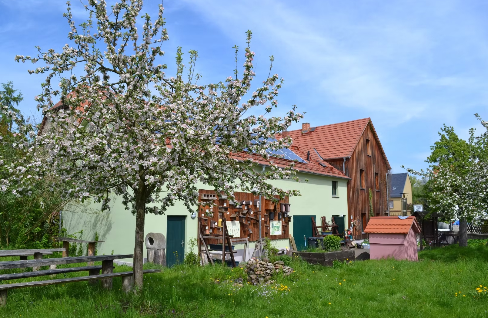 Naturhof mit Nistkästen an der Wand sowie einer Wiese mit blühenden Bäumen