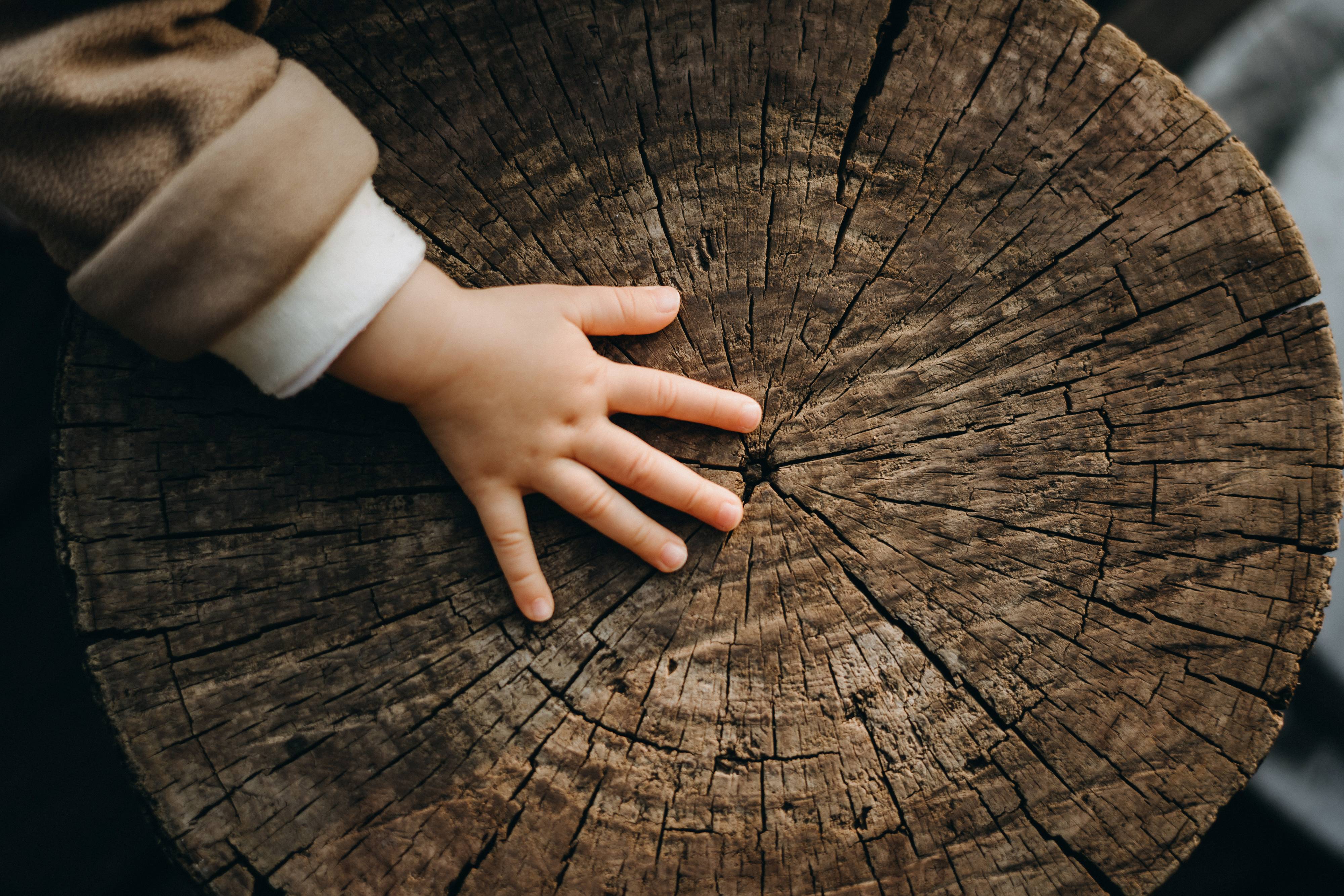 Nachhaltigkeit, Kinderhand auf Baumstamm