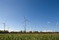 Windkraftanlage vor blauem Himmel auf grünem Feld Windkraftanlage vor blauem Himmel auf grünem Feld