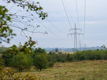 Ökologisches Trassenmanagement Ökologisches Trassenmanagement