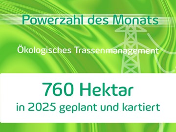 Powerzahl des Monats Oktober 2025 Powerzahl des Monats Oktober 2025