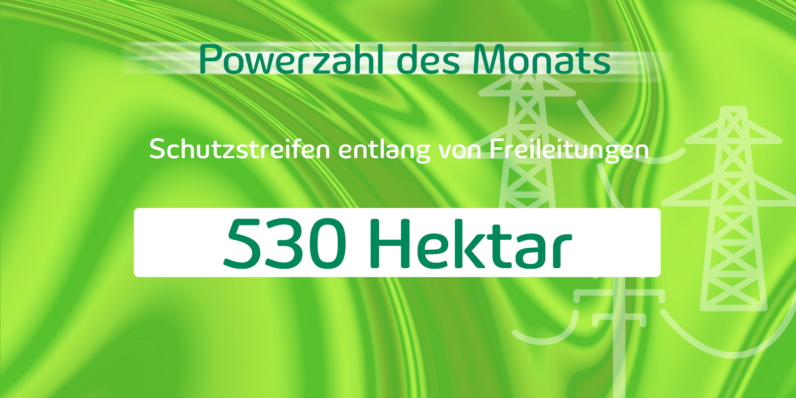 Zahl des Monats, November 2023