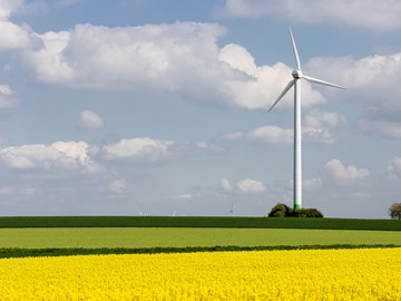 eine Windenergieanlage vor einem Rapsfeld eine Windenergieanlage vor einem Rapsfeld