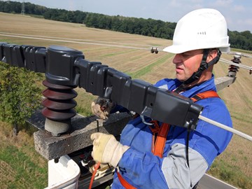 Vogelschutzmaßnahmen an Freileitungen Vogelschutzmaßnahmen an Freileitungen