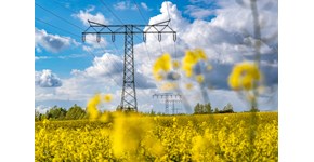 Stromtrasse auf einem Rapsfeld bei Kabelsketal Stromtrasse auf einem Rapsfeld bei Kabelsketal