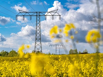 Stromtrasse auf einem Rapsfeld bei Kabelsketal Stromtrasse auf einem Rapsfeld bei Kabelsketal