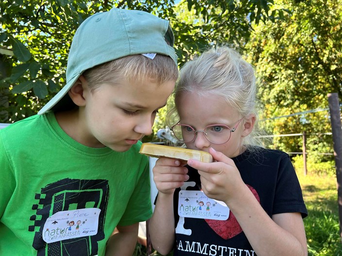 Natur zum Anfassen, Reit- und Kinderbauernhof Krasselt Natur zum Anfassen, Reit- und Kinderbauernhof Krasselt