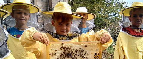 Kind mit Bienenwabe in der Hand Kind mit Bienenwabe in der Hand