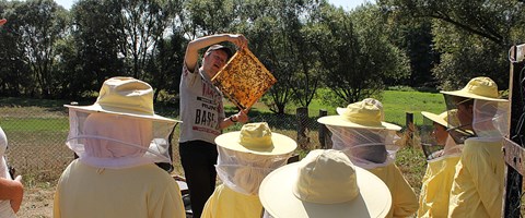 Kinder schauen neugierig Bienenwabe an Kinder schauen neugierig Bienenwabe an
