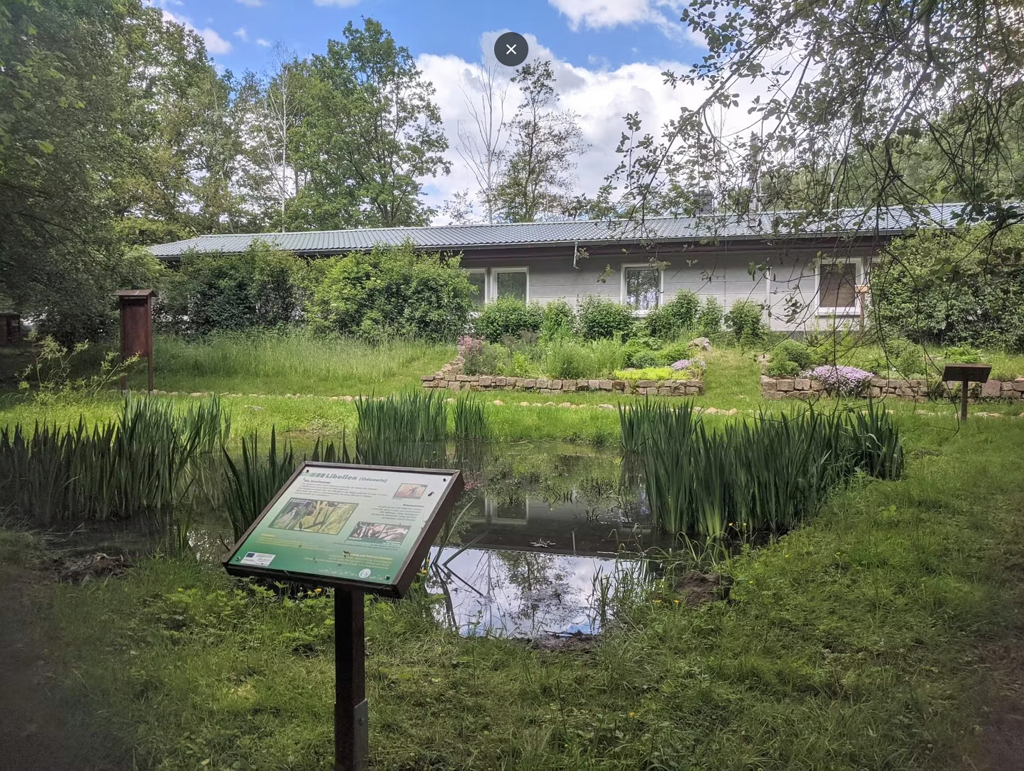 im Vordergrund ist ein Teich auf einer Wiese mit einer Beschreibungstafel, im Hintergrund ein grauer Flachbau