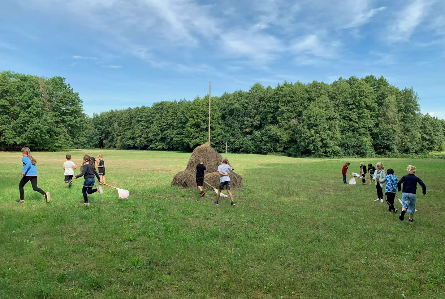 Kinder rennen über eine Wiese mit Heu des Naturschutzvereins Großgemeinde Kolkwitz e.V.