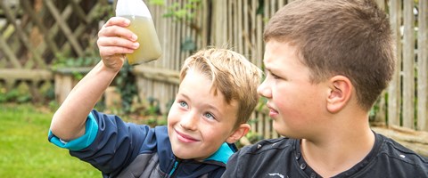 Schulgarten Schulgarten