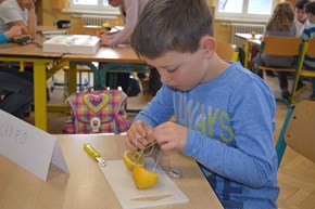 01 Energie erkunden 01 Energie erkunden