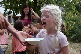 Honig zum Probieren Honig zum Probieren