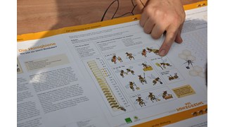 Wissen rund um die Honigbiene Wissen rund um die Honigbiene