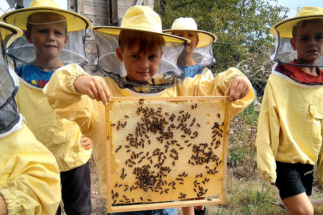 Kind hält Bienenwabe in der Hand