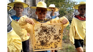 Kind hält Bienenwabe in der Hand Kind hält Bienenwabe in der Hand