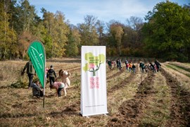 Stiftung Wald für Sachsen, Pflanzaktion 2022 Stiftung Wald für Sachsen, Pflanzaktion 2022
