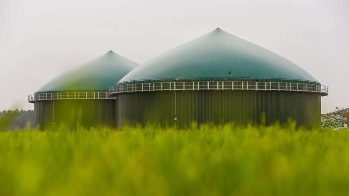 Zwei Fermenter mit dem typischen grünen Dach der Biogasanlage im Kolkwitzer Ortsteil Krieschow Zwei Fermenter mit dem typischen grünen Dach der Biogasanlage im Kolkwitzer Ortsteil Krieschow
