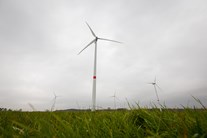 Blick von unten auf drei Windräder im Windpark des Kolkwitzer Ortsteils Eichow Blick von unten auf drei Windräder im Windpark des Kolkwitzer Ortsteils Eichow