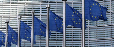 EU-Fahnen wehen vor Gebäude EU-Fahnen wehen vor Gebäude