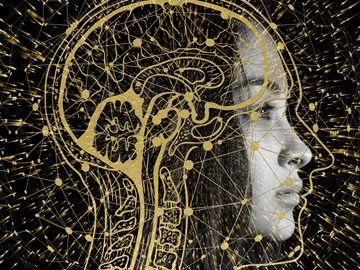 Mensch, KI Mensch, KI