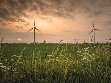 Windräder mit Sonnenaufgang Windräder mit Sonnenaufgang